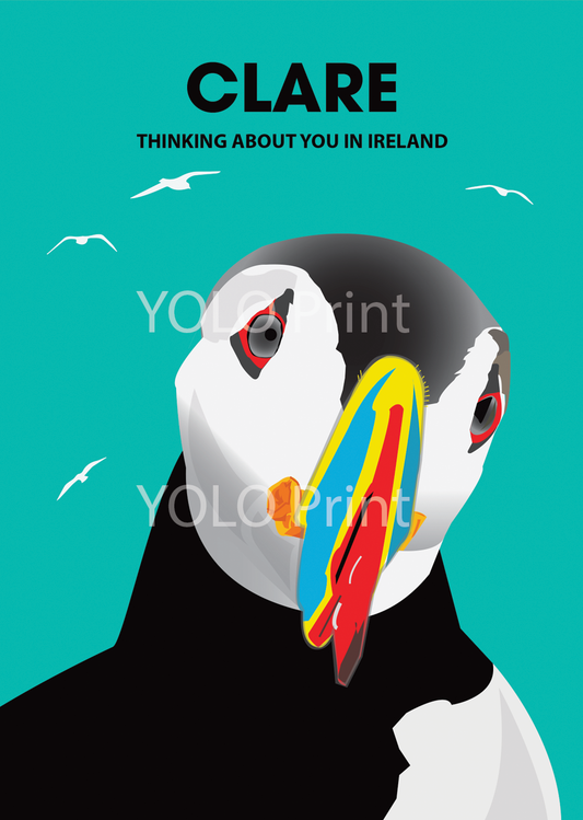 Clare Postcard or A4 Mounted Print or Fridge Magnet  - Puffin - Thinking about you in Ireland