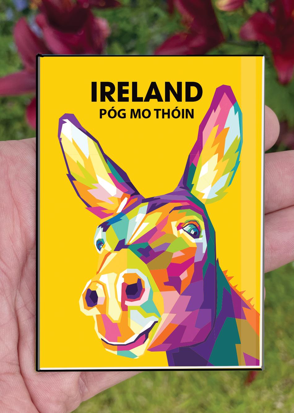 Ireland Postcard or A4 Mounted Print or Fridge Magnet - Pog mo thoin