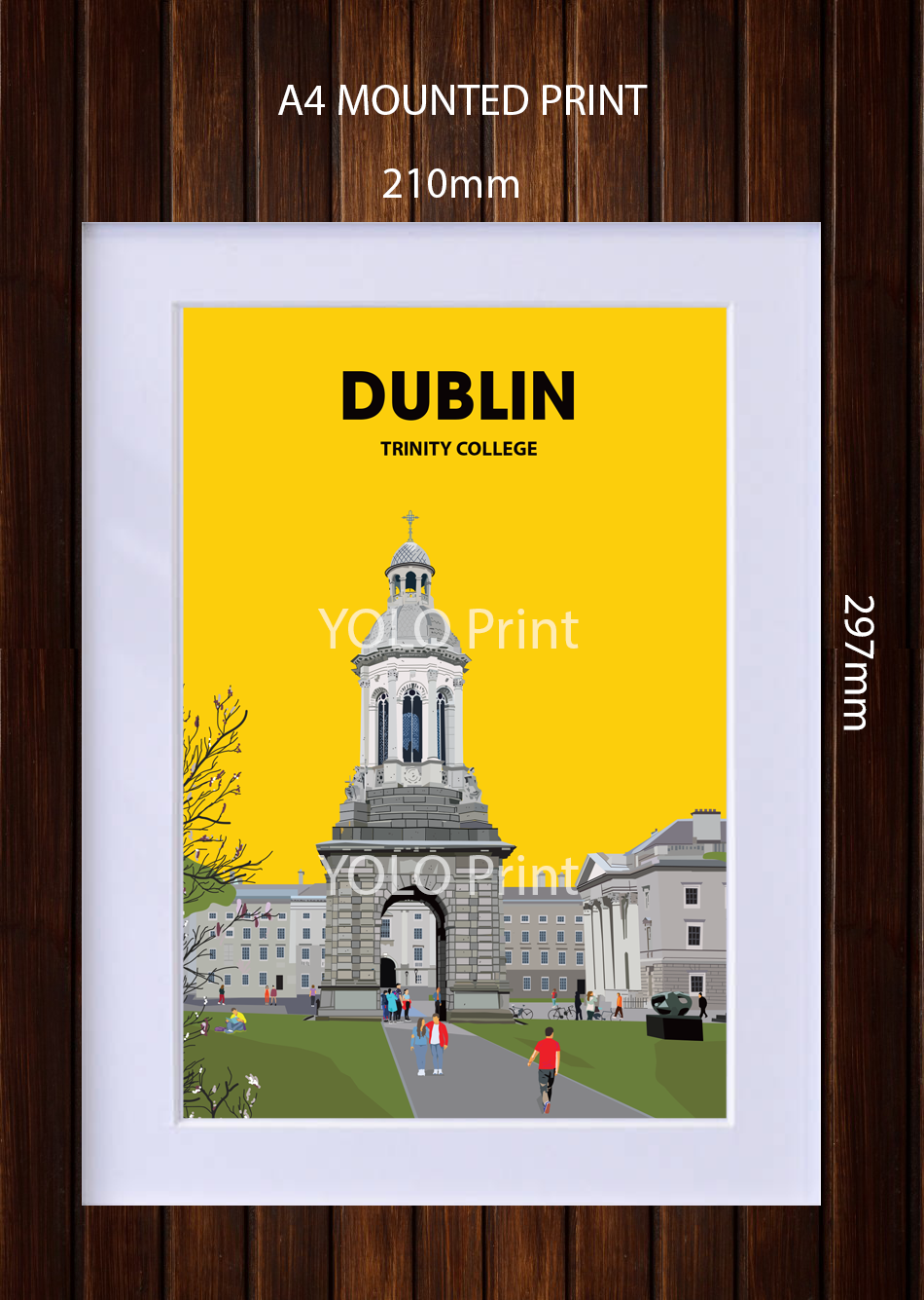 Dublin Postcard or A4 Mounted Print or Fridge Magnet - Trinity College