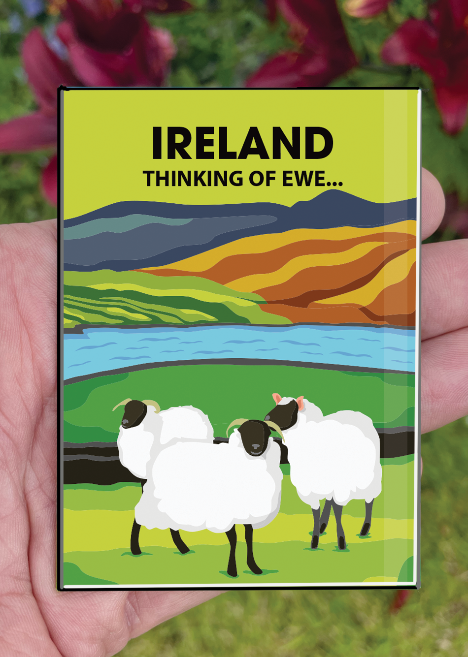 Ireland Postcard or A4 Mounted Print or Fridge Magnet - Thinking of Ewe