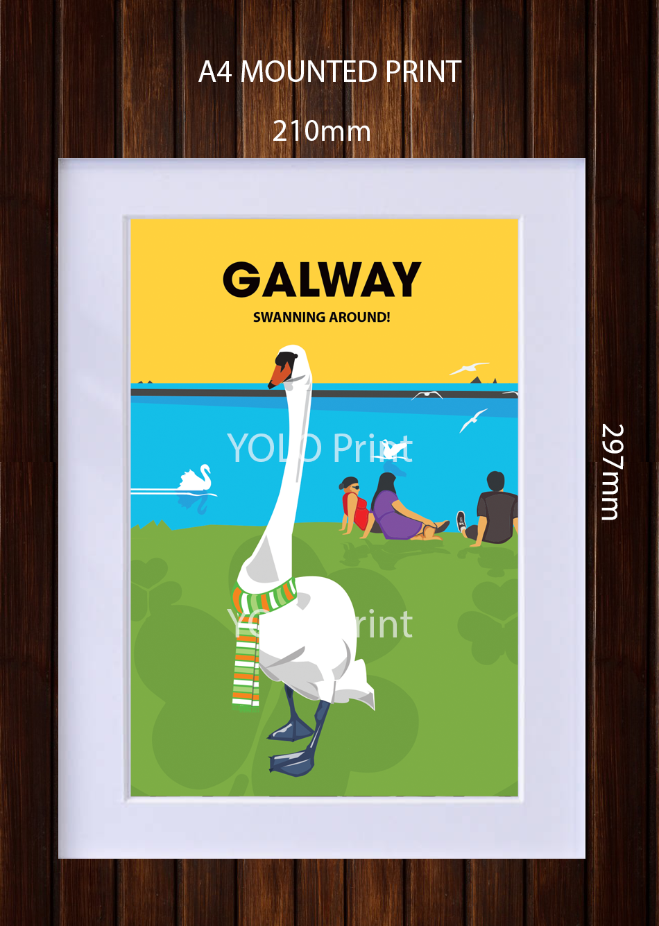 Galway Postcard or A4 Mounted Print  - Swanning Around