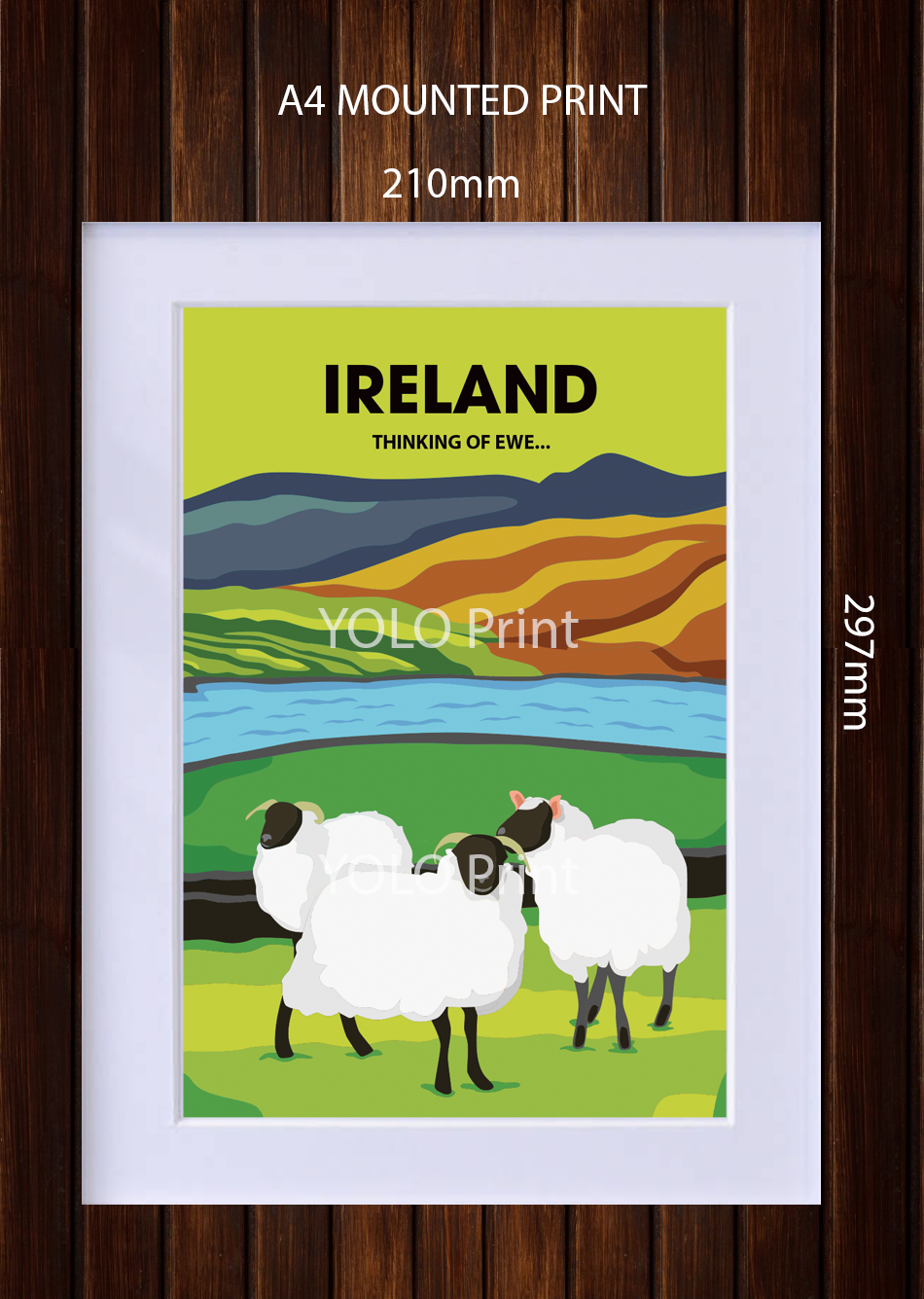 Ireland Postcard or A4 Mounted Print or Fridge Magnet - Thinking of Ewe